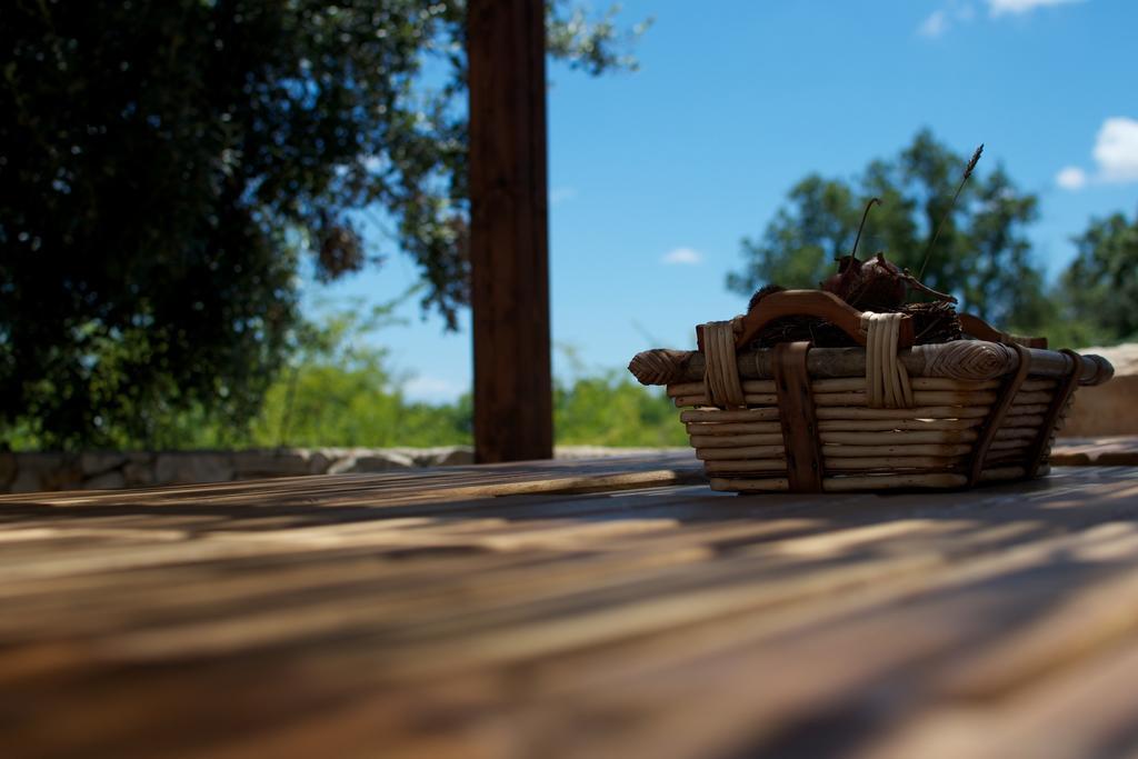 Villa Nana - Modern Villa With A Pool Surrounded By Nature, Istria-Pula Valtura Zimmer foto