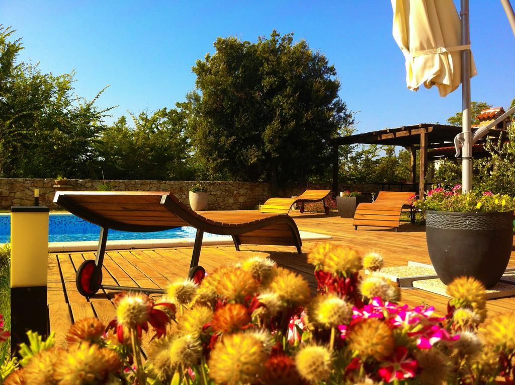 Villa Nana - Modern Villa With A Pool Surrounded By Nature, Istria-Pula Valtura Exterior foto